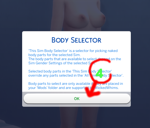 the sims 4 penis